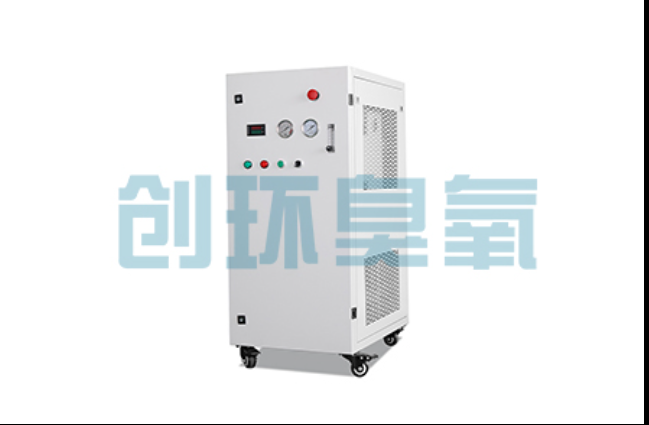 枣强工厂化养鲈必看:2026年臭氧发生器替代传统消毒的最新方案