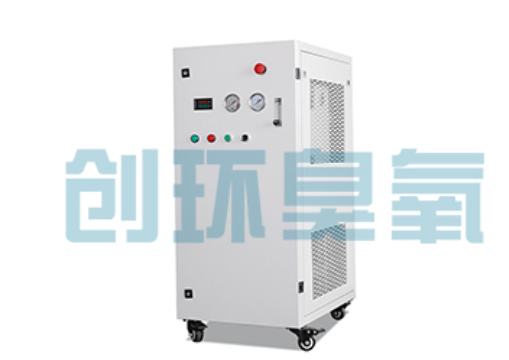 枣强石斑鱼养殖水质调控完整指南:臭氧发生器配置与操作步骤