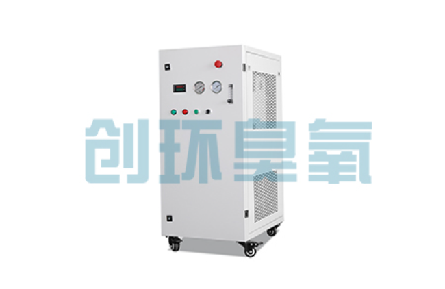 枣强比传统换水更高效?臭氧发生器在石斑鱼养殖中的水质净化原理解析