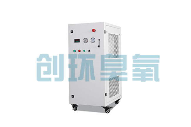 枣强比传统换水更高效?臭氧发生器在石斑鱼养殖中的水质净化原理解析